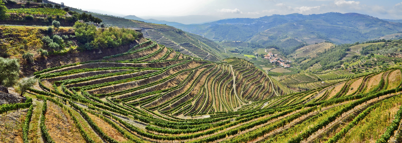 Visit a wine-making region and taste Portuguese wine