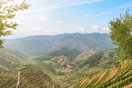 Douro Valley