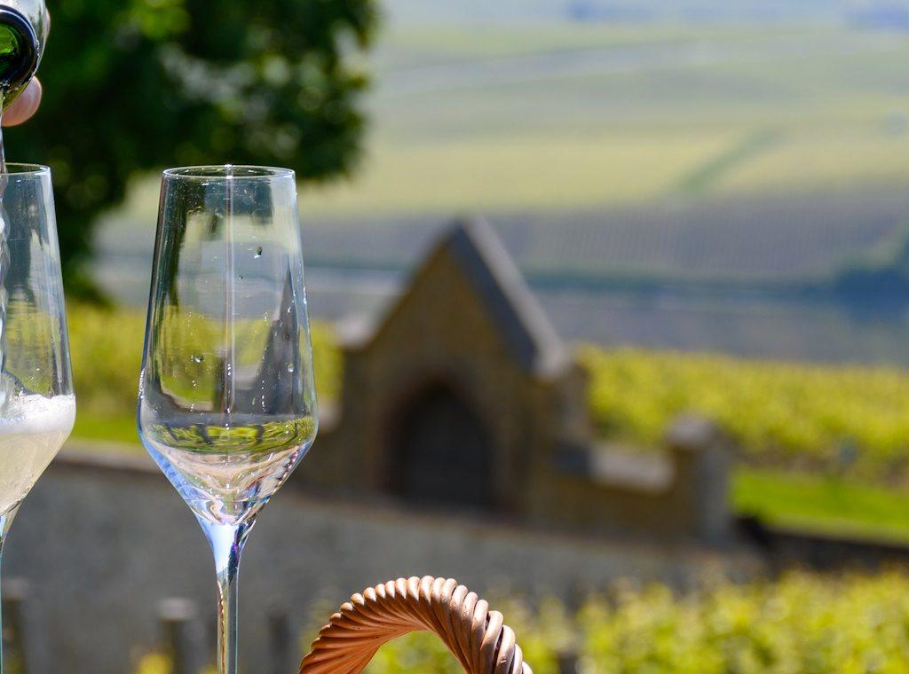 Try the famous Champagne and discover the beautiful region