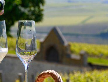 Try the famous Champagne and discover the beautiful region